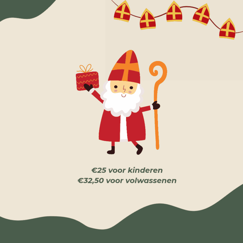 Sinterklaas intocht - 15 november